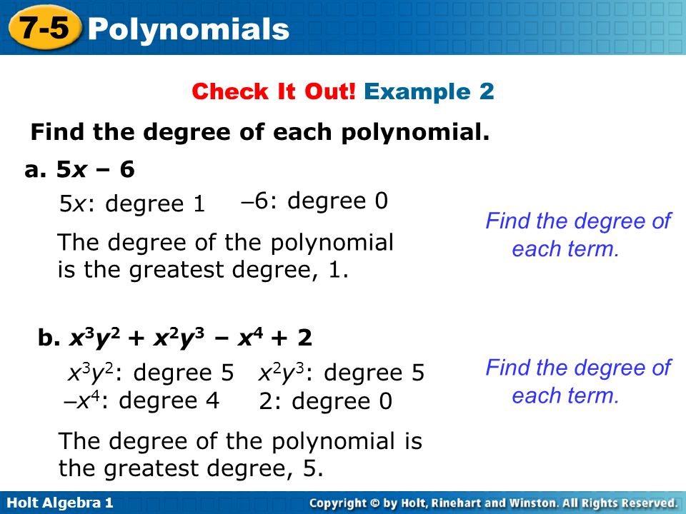Polynomial Worksheet
